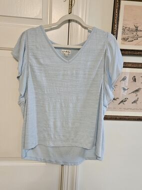 3 For $25 Wonderly Pale Blue V-Neck Ruffle Sleeve Top